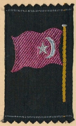 Fahne von türkei - fahne,