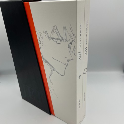 Bleach illustration collection - illustration,