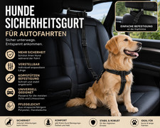 Anschnallgurt Hund