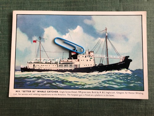 Harry hudson rodnell mv - harry, rodnell: