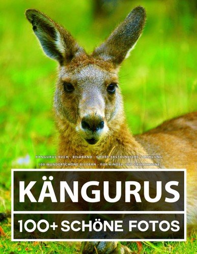 Kängurus bildband 100 bilder - kängurus,