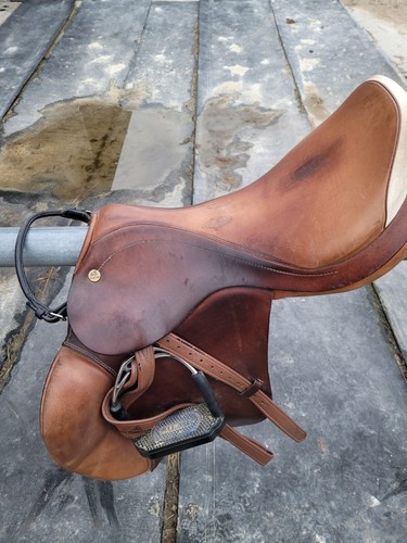 Perstige appaloosa - perstige,