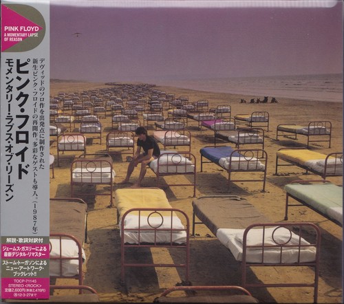 Pink floyd momentary lapse - momentary,