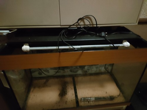 120l aquarium mit pumpe und - aquarium,