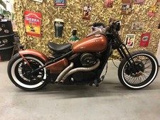 Springer Gabel einbaufertig VN