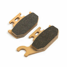 Bremsbeläge hinten für