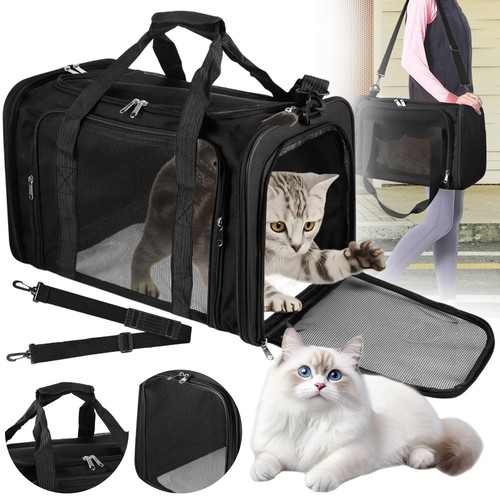 Hundebox faltbar hunde - hundebox,