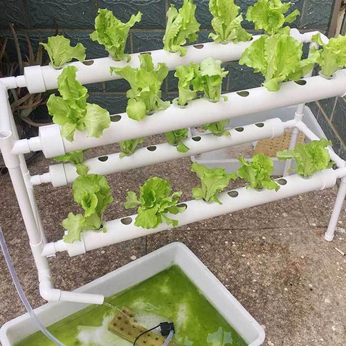 Hydroponic system grow - system,