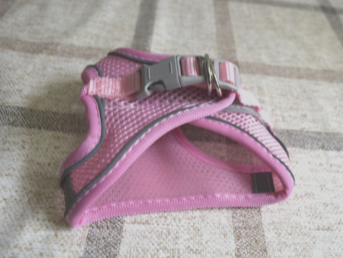 Hunde welpen geschirr - -, gr
