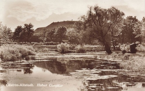 Hoher cavalier - hoher, in