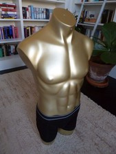 Torso   POLY-Form MU-I /