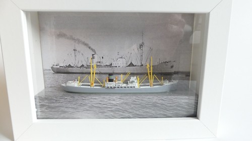 1250 frachter modell kamerun - 1:1250,