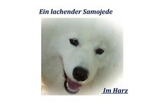 Kalenderbuch 2015 | Buch | 9783735782113