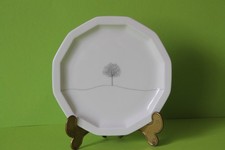 Rosenthal Polygon Winterreise