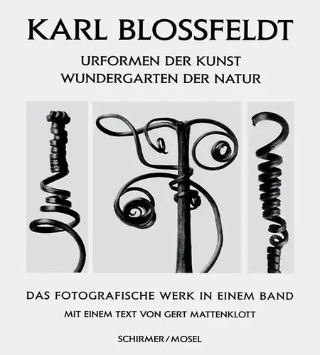 Karl blossfeldt urformen der - blossfeldt:,