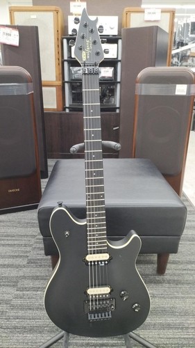 Evh wolfgang special - wolfgang,