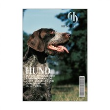 Deutsch drahthaar schild dog - drahthaar,