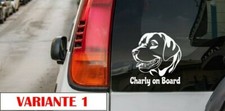 Autoaufkleber Labrador