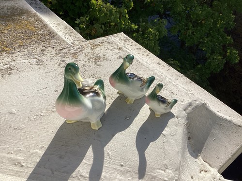 Porzellan enten carl - porzellan, enten,