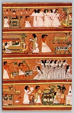 Postcard: Egypt, Mayer's