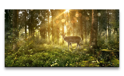 120x60cm leinwandbild wald - 120x60cm,