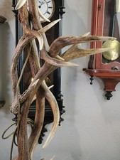 geweih abwurfstangen stehlampe