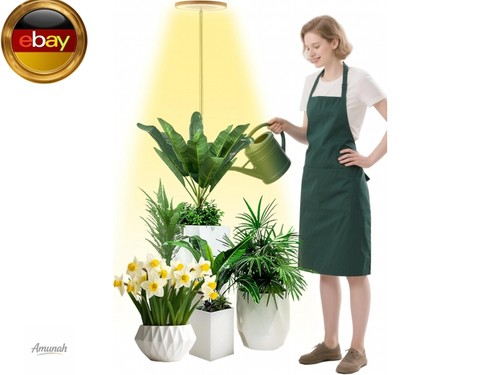 Wachstumslampe für