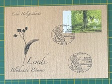Echte Holzpostkarte Linde