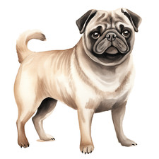 Wandtattoo Aufkleber Aquarell