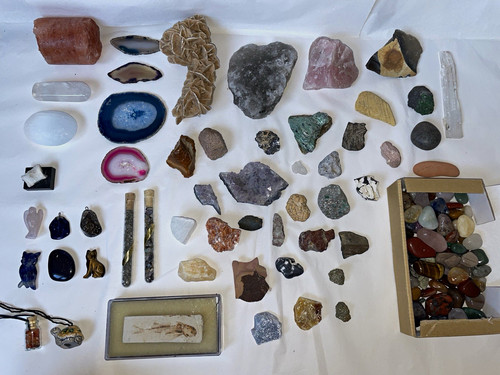 Mineralien fossilien sammlung - fossilien,