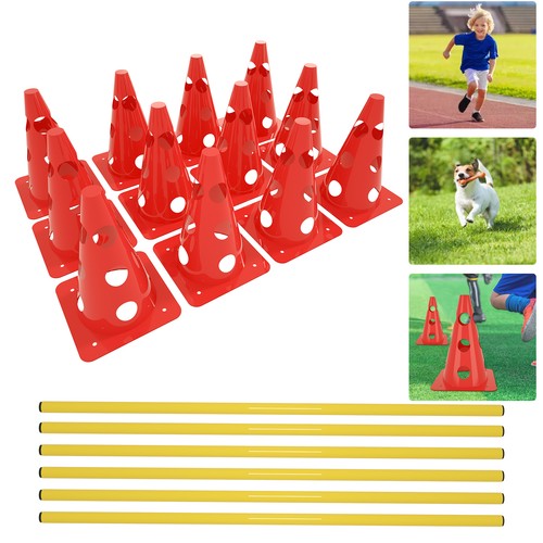 Traning hundetraining agility - traning,