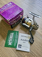 Mitchell Angelrolle - AutoBail