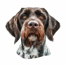 Designer aufkleber sticker - aufkleber,