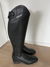 Reitstiefel Ariat Palisade -