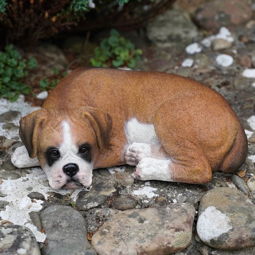 Schlafender boxer harz - schlafender,