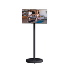 21.5 inch Standing Monitor