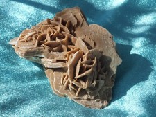 Sandrose Wüstenrose Selenit Alabaster Tunesien 338 Gramm