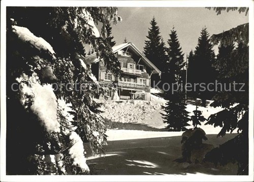 Tanzboden naturfreundehaus - tanzboden,
