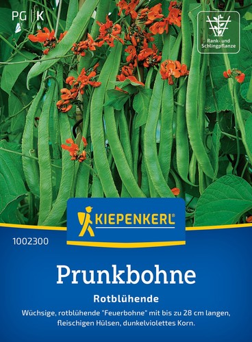 Prunkbohne rotblühende - *,