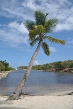 NEU!!! - SAND aus der KARIBIK/GUADELOUPE - Porte d'Enfer