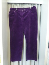 NEU - Hose -  Lila - Samthose