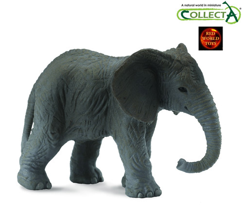 Afrikanischer elefant kalb - elefant,