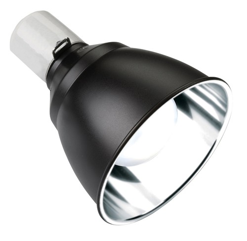 Exo terra light - light, dome