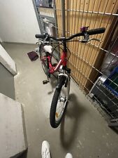 Pegasus Avantis Mädchen Rad