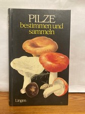 Pilze bestimmen und sammeln