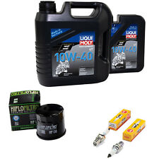 Inspektion Set Öl 5L für