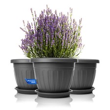 3x Blumentopf Balkonkasten