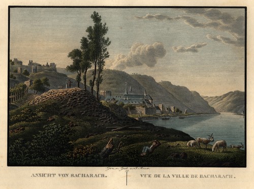 Bacharach gesamtansicht - bacharach,