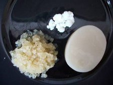 3 Pilze Kombucha Milchkefir