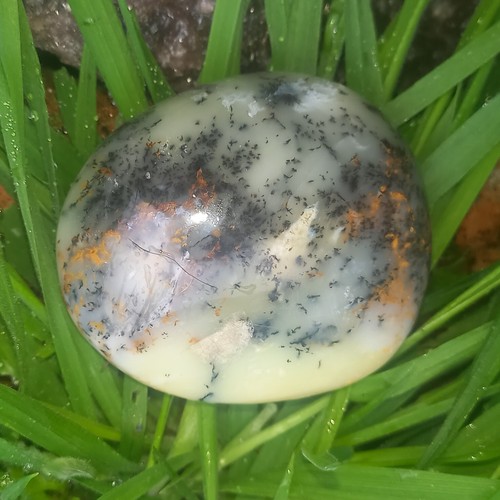 Opalit opal dendritenopal - opal,